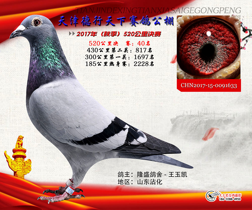 ����񽱸�����