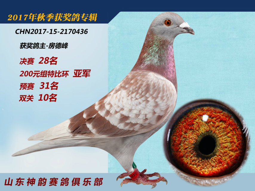红狐公主