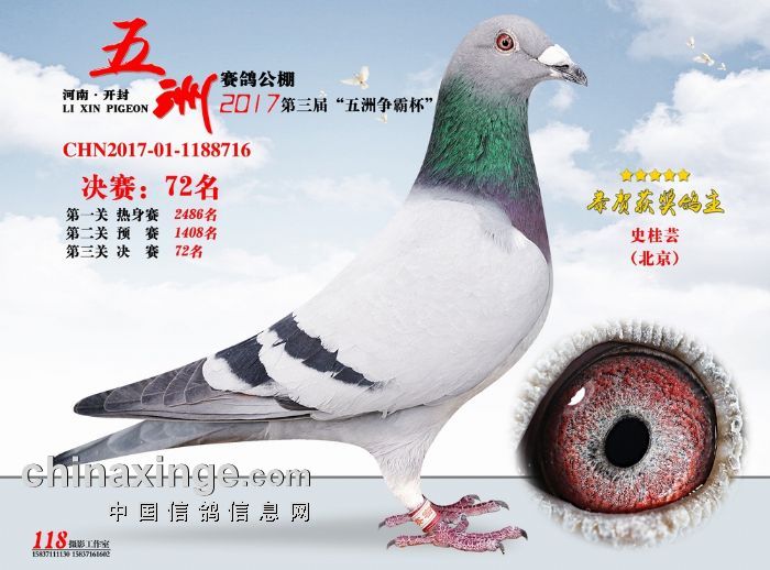 ��������ِ������2017��Qِ72��