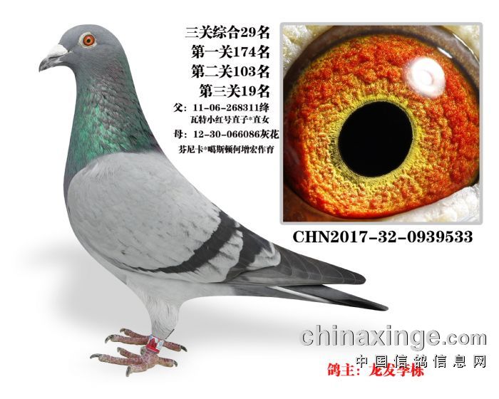 H56607068025.jpg