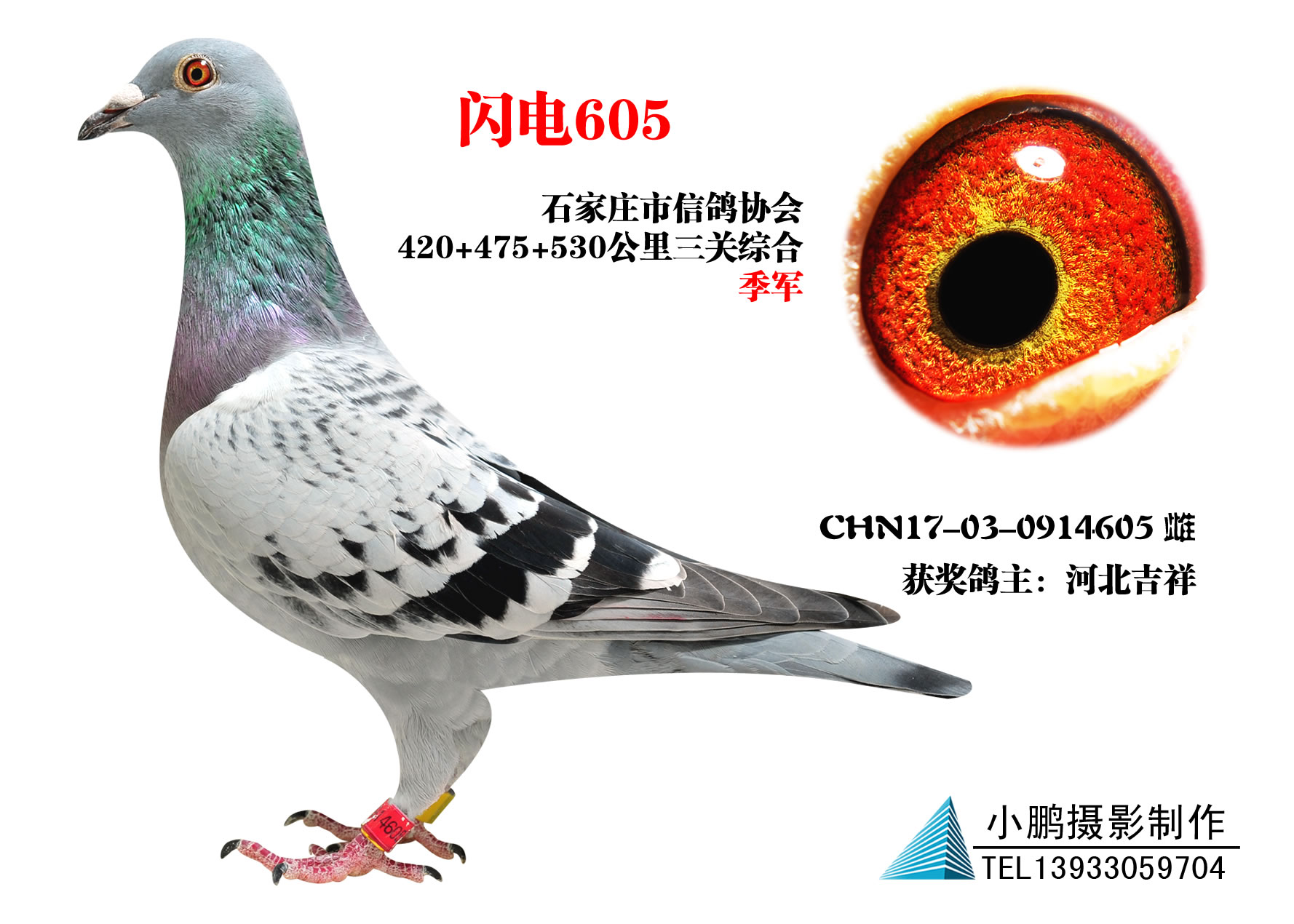 ɣʿ W605