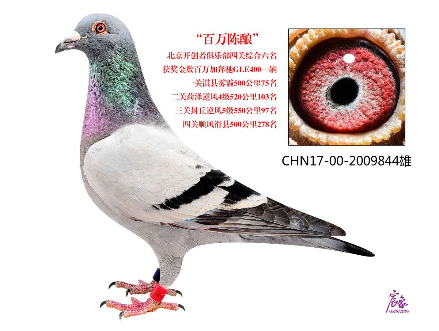 _(ki)(chung)߾C6