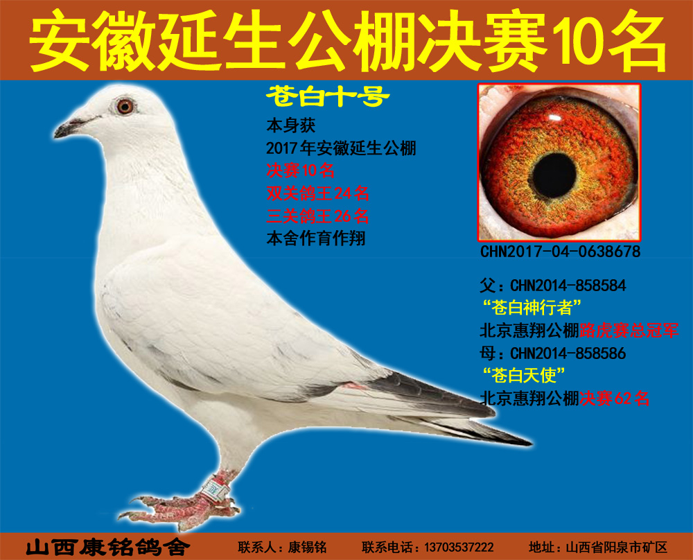 安徽延生公棚决赛10名