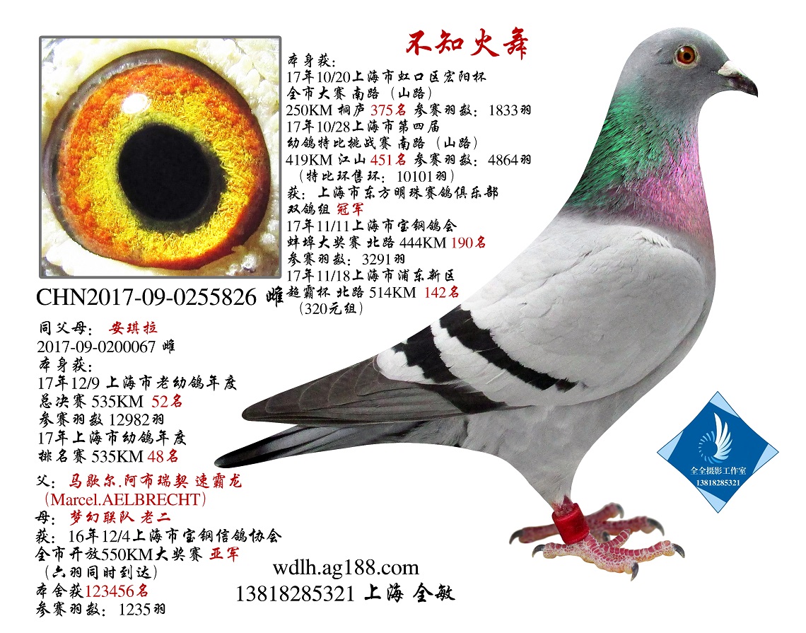 ֪  D(zhun)