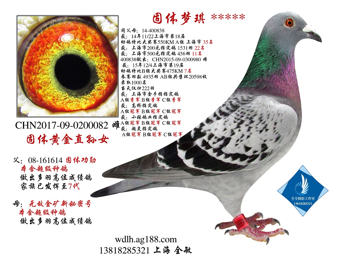 w(mng) ***** D(zhun)ղ