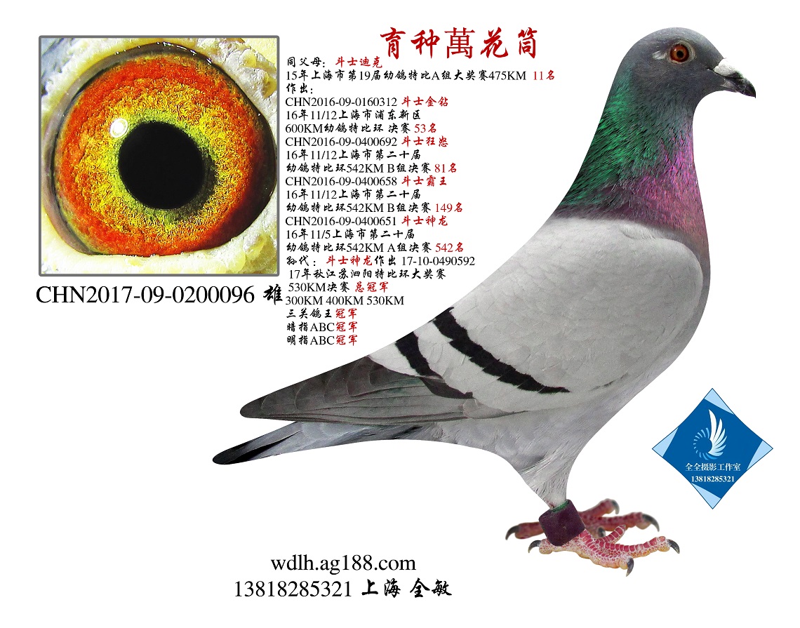 NfͲ  D(zhun)