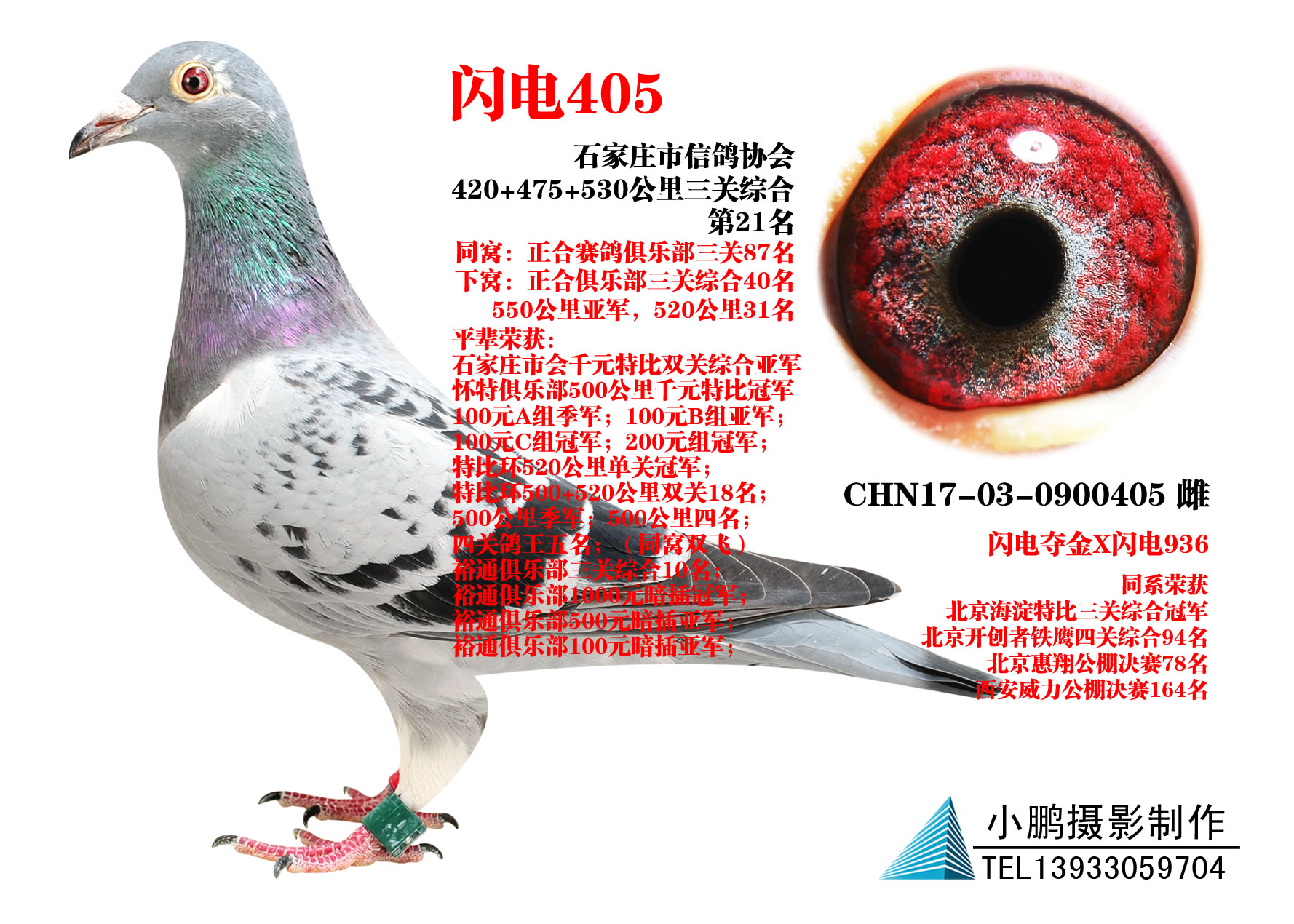 ɣʿ W405
