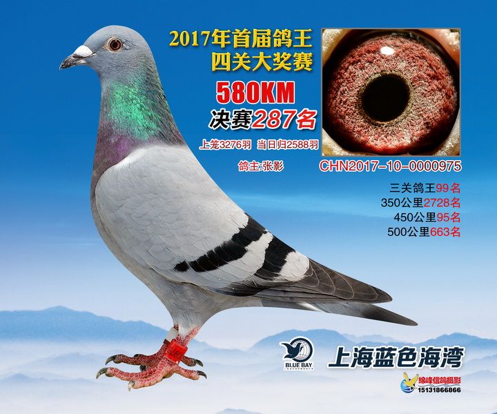 17{(ln)ɫ۞Qِ287