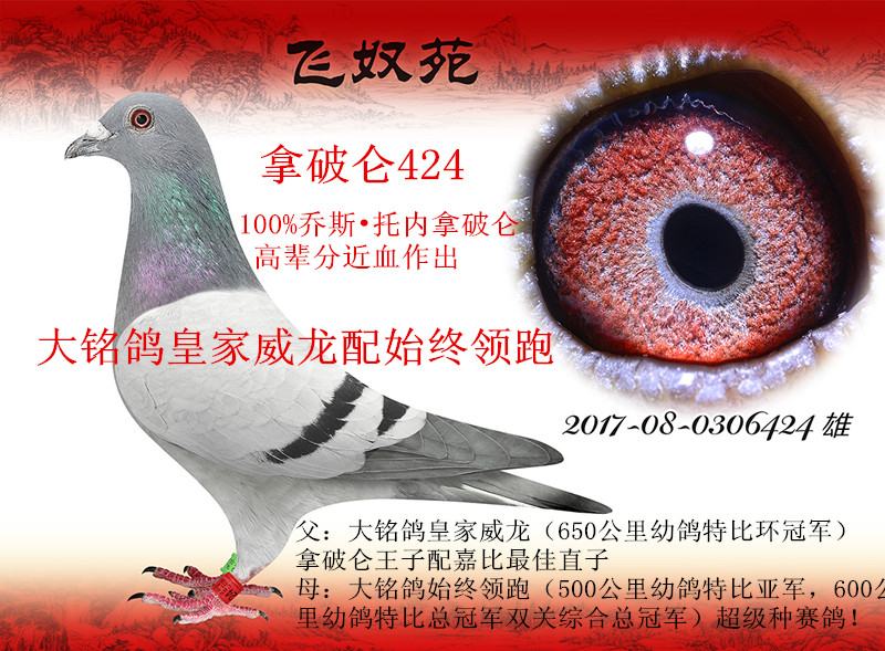 ˹Ѓ(ni)Ɓ424ʼʼKI(lng)
