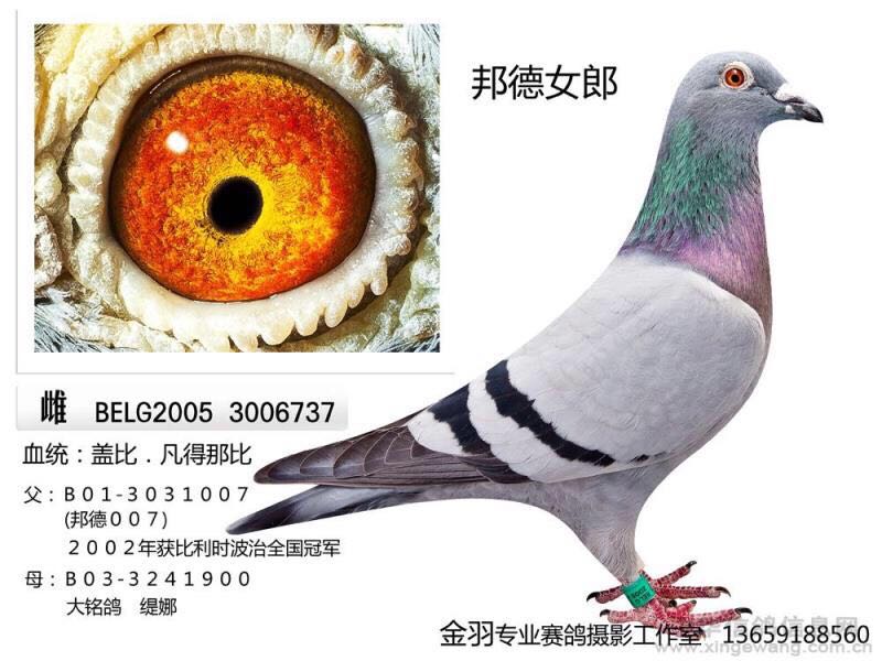 邦德女郎