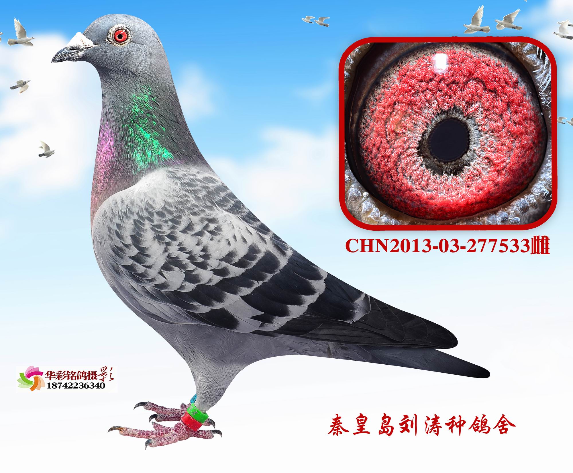 Ӣ533