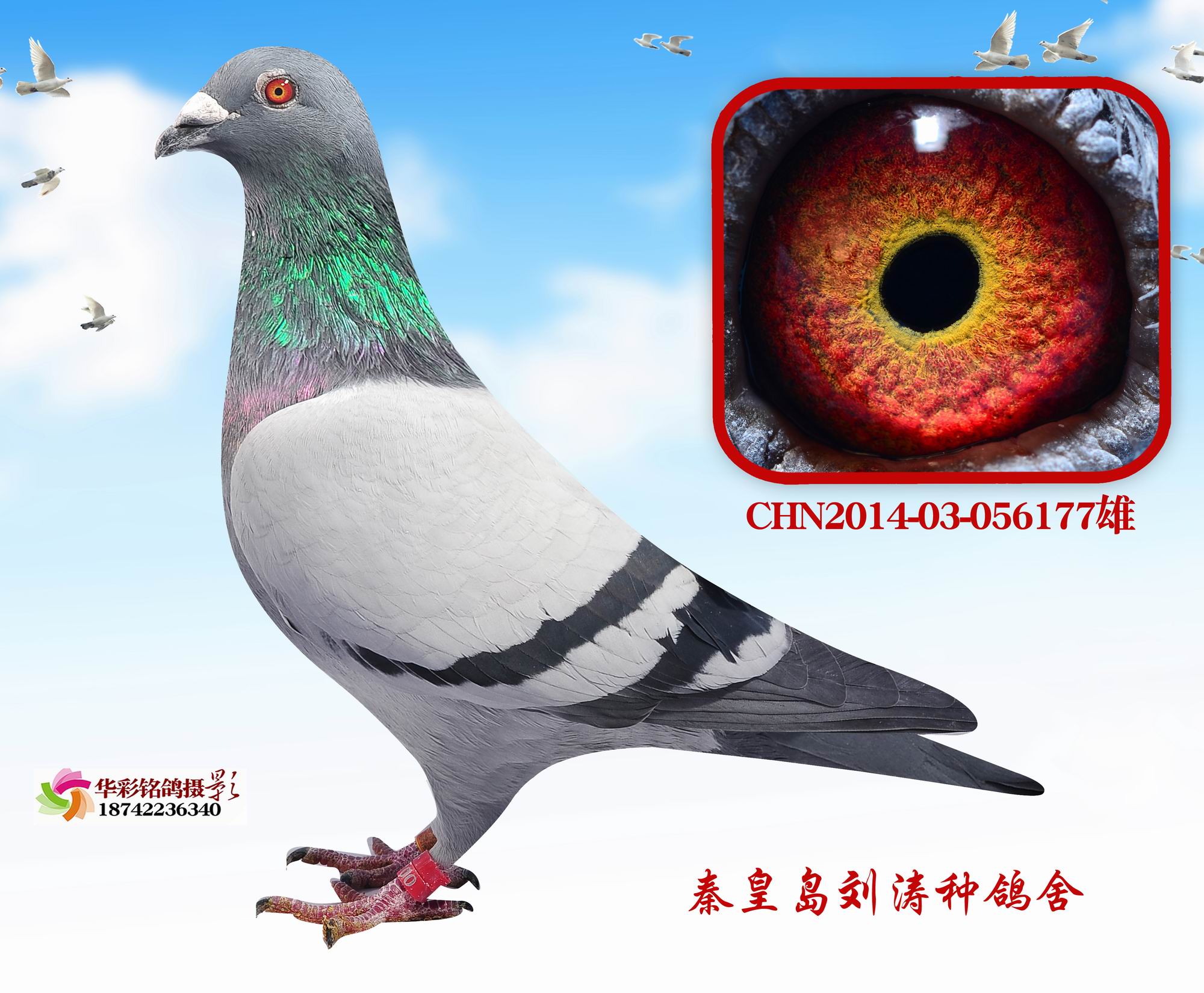 Ӣ177