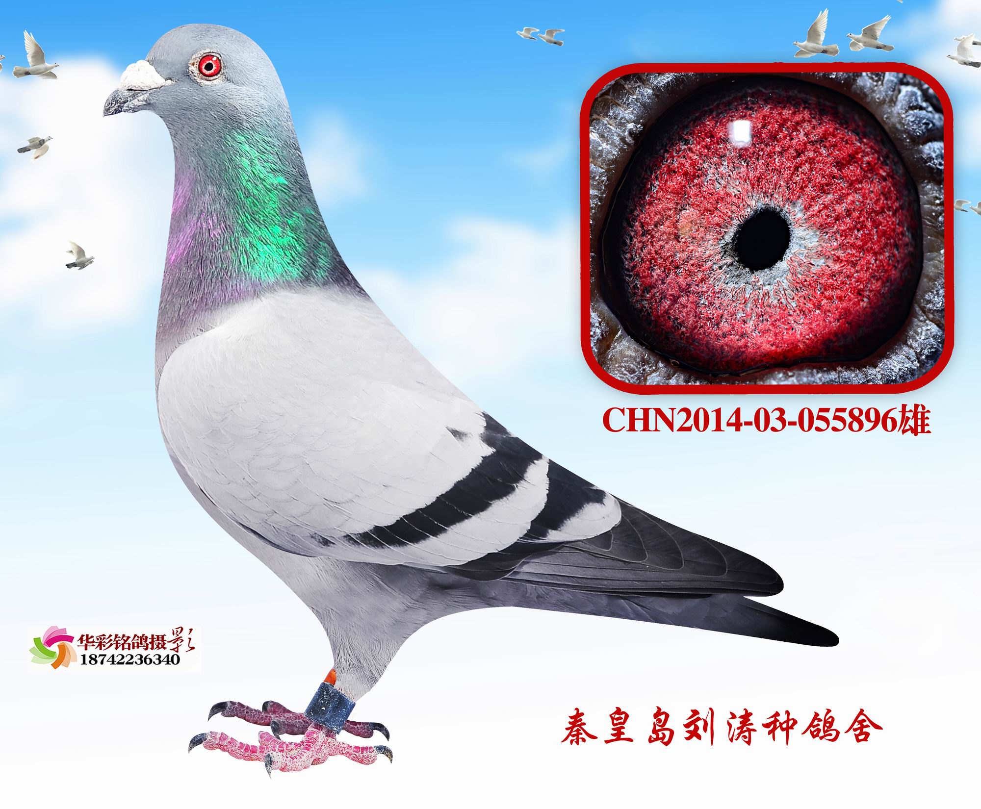 Ӣ896