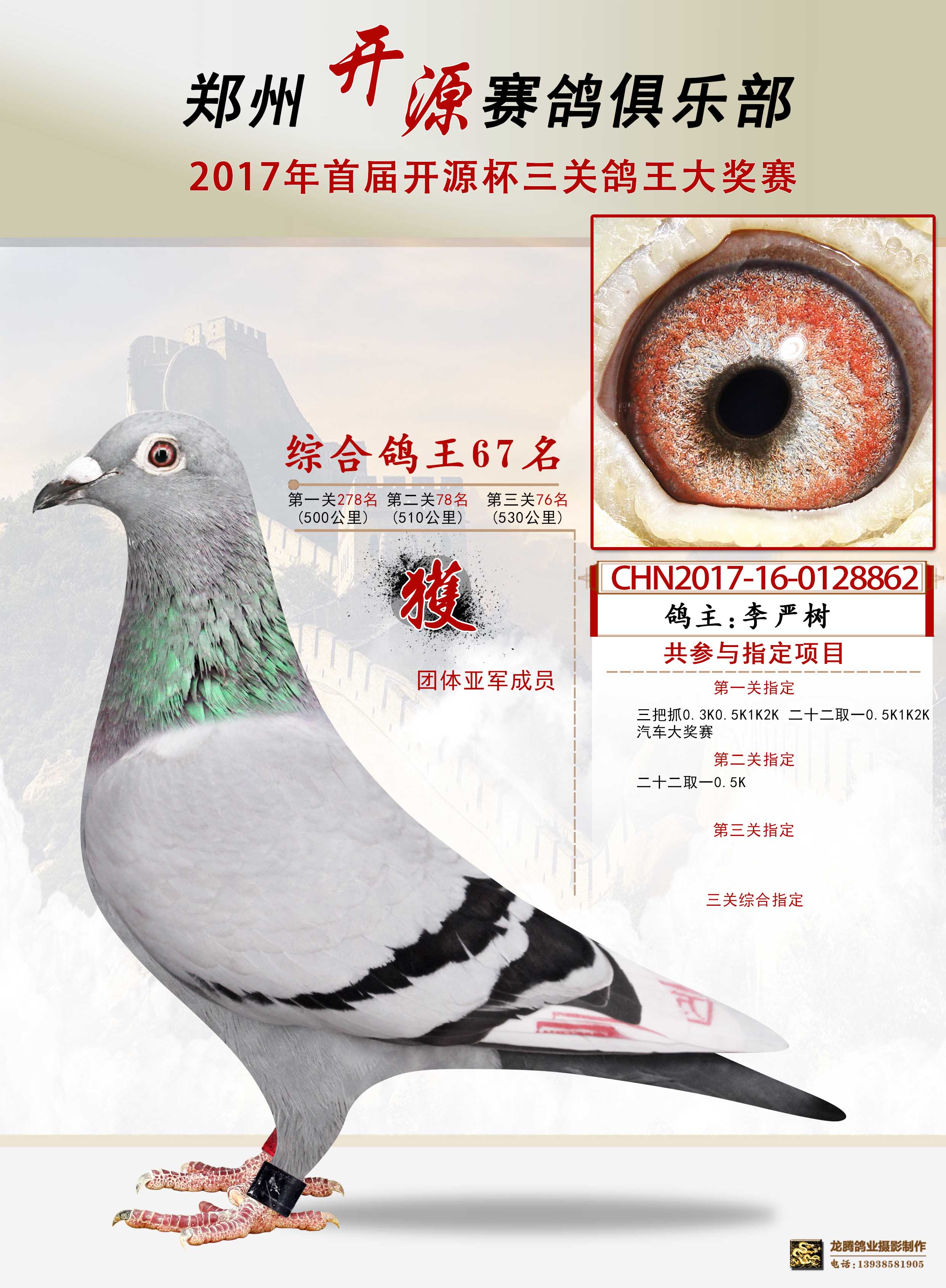 综合鸽王67名_河南龙腾鸽业_ag188.com爱鸽商城_中国信鸽信息网