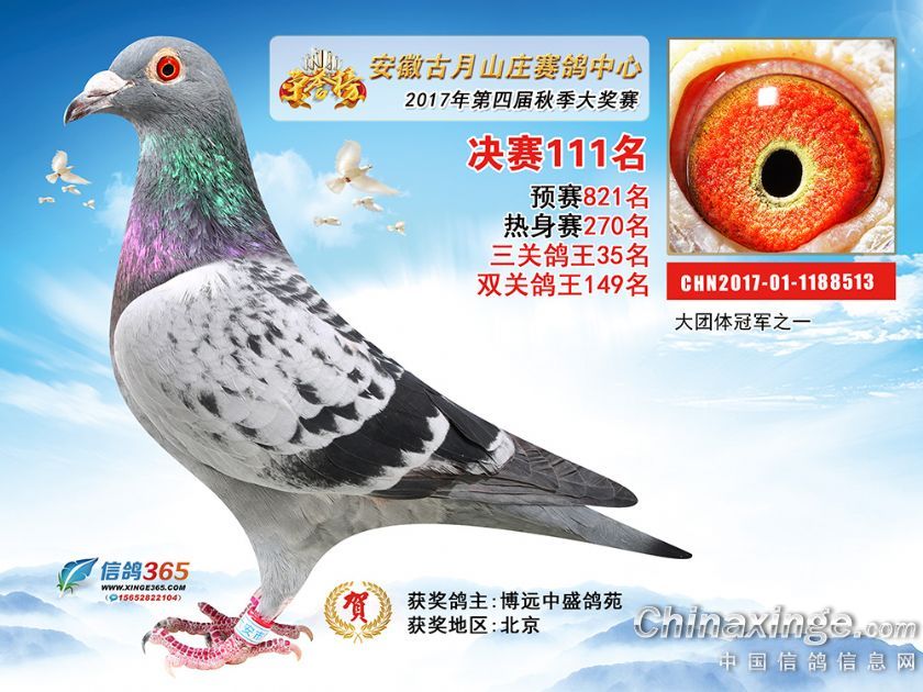 ���չ���ɽ�fِ�����ěQِ111��