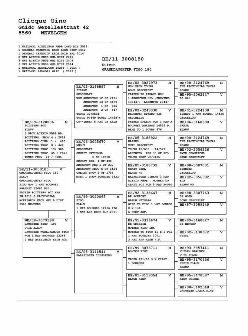 飞戈金母_北京李氏兄弟鸽舍-中信网爱鸽商城