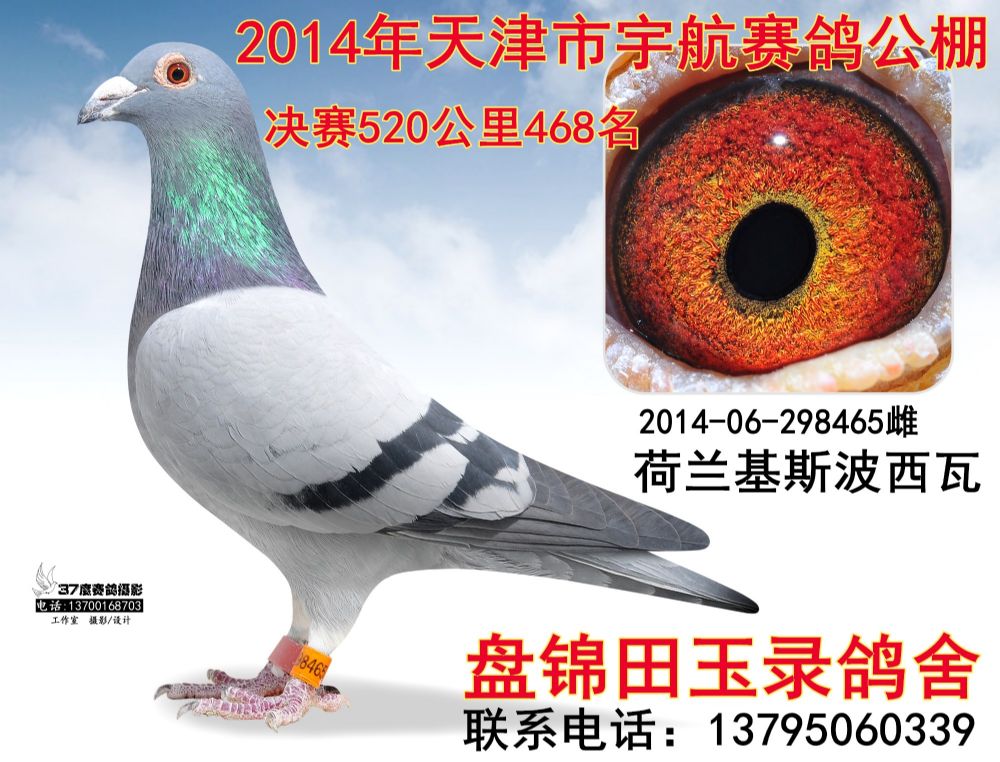 201406298465_