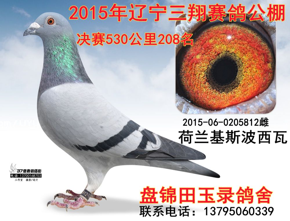 2015060205812_