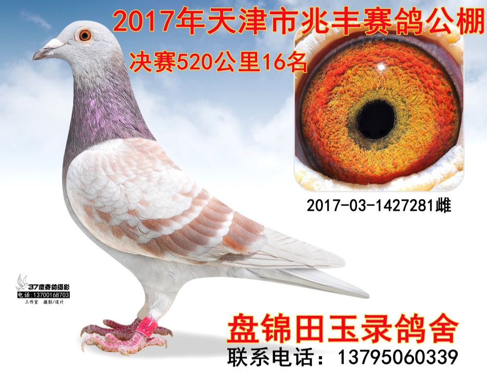 2017031427281_