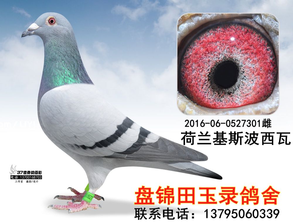 2016060527301_