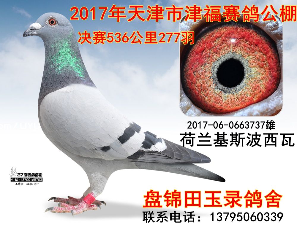 2017060663737_