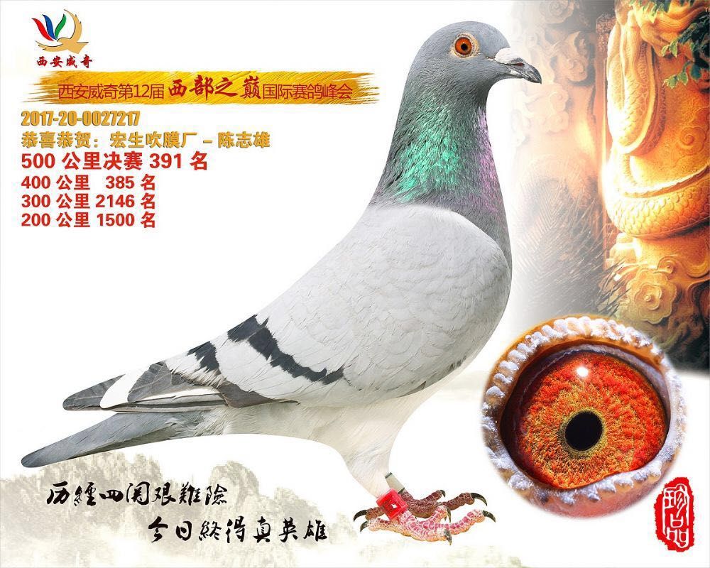 ĤS@(jing)?w)? ></a>
        
      
      </div>
   
       <br>
    </td>
  </tr>
</table>
   
<table width=