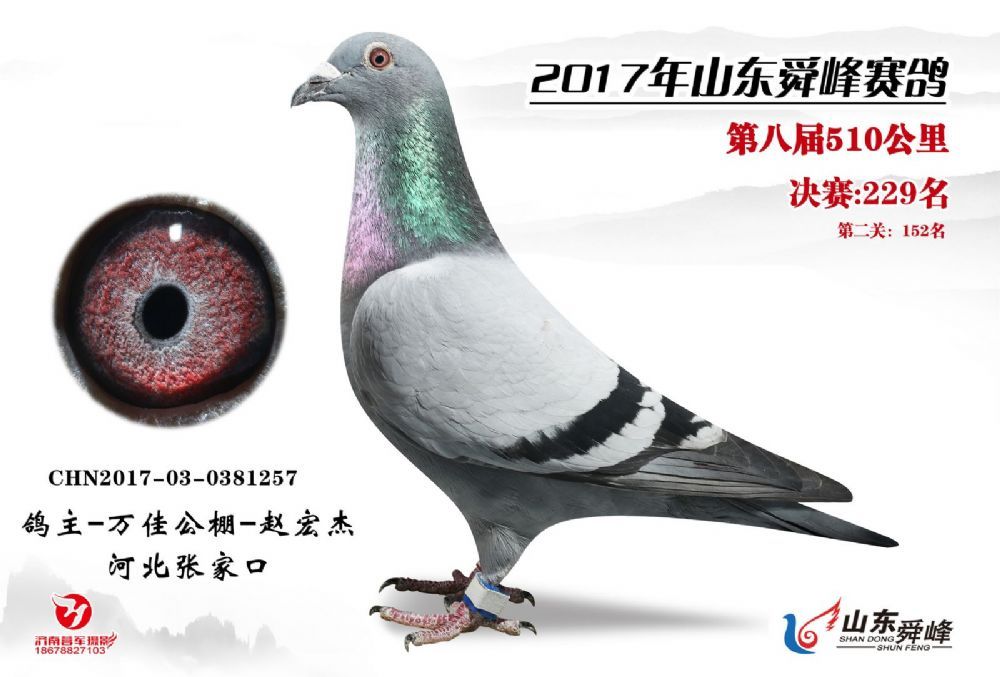 fѹ2017ِ(j)
