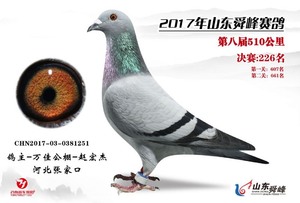 fѹ2017ِ