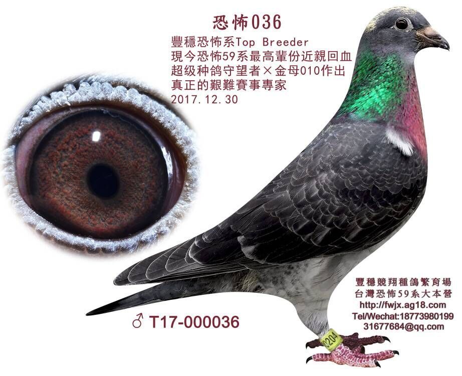 【已转让 】
