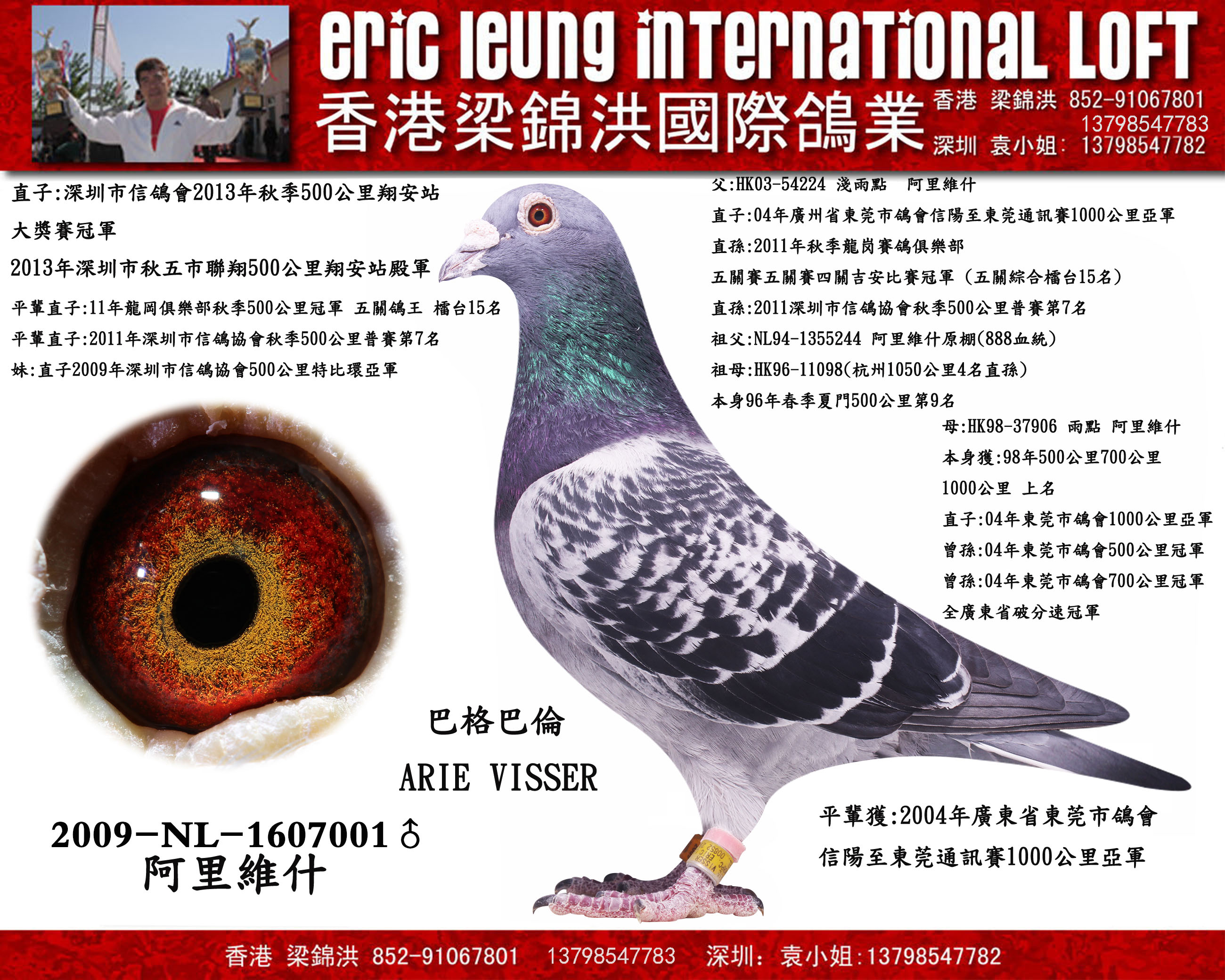 阿里维什巴格
