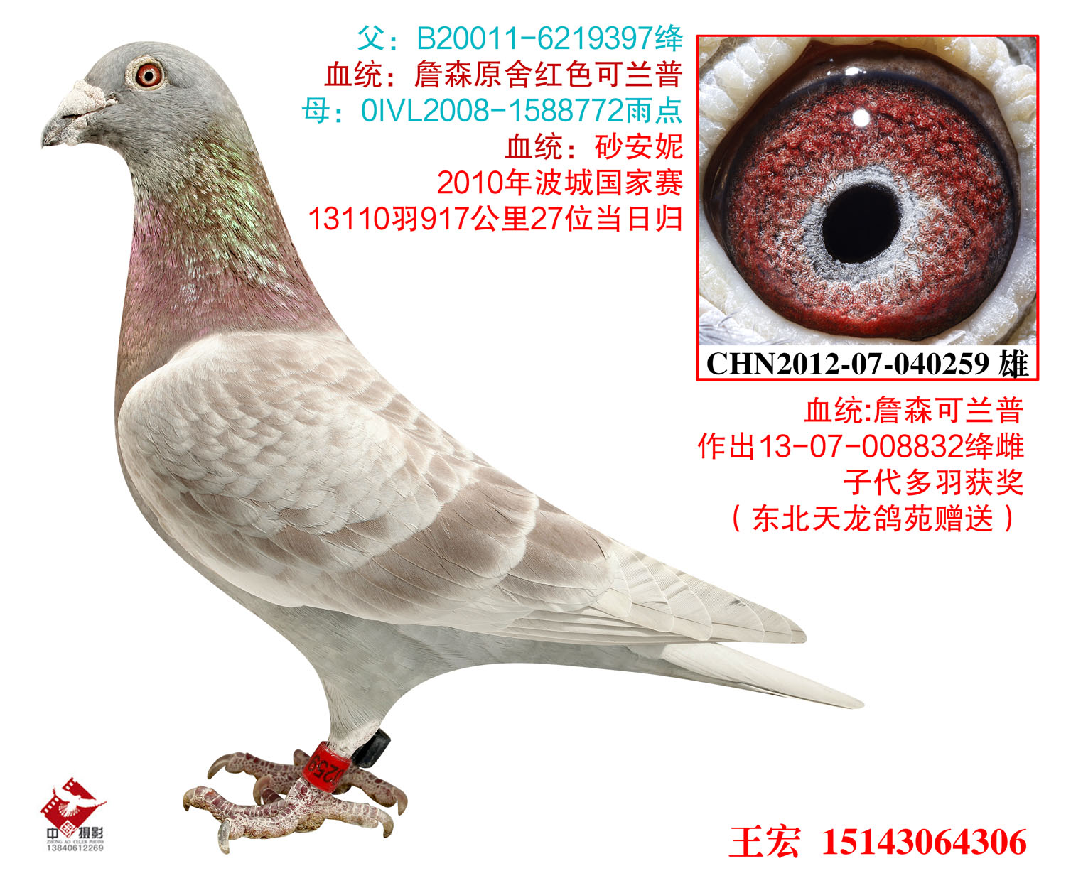 詹森