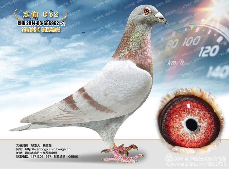 Ĳ 962 o޽O