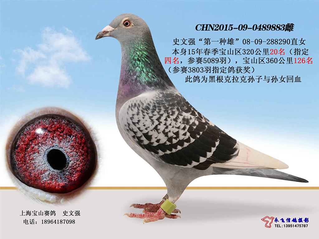 黑根克拉克近血