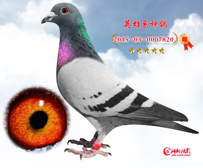 Ӣ820
