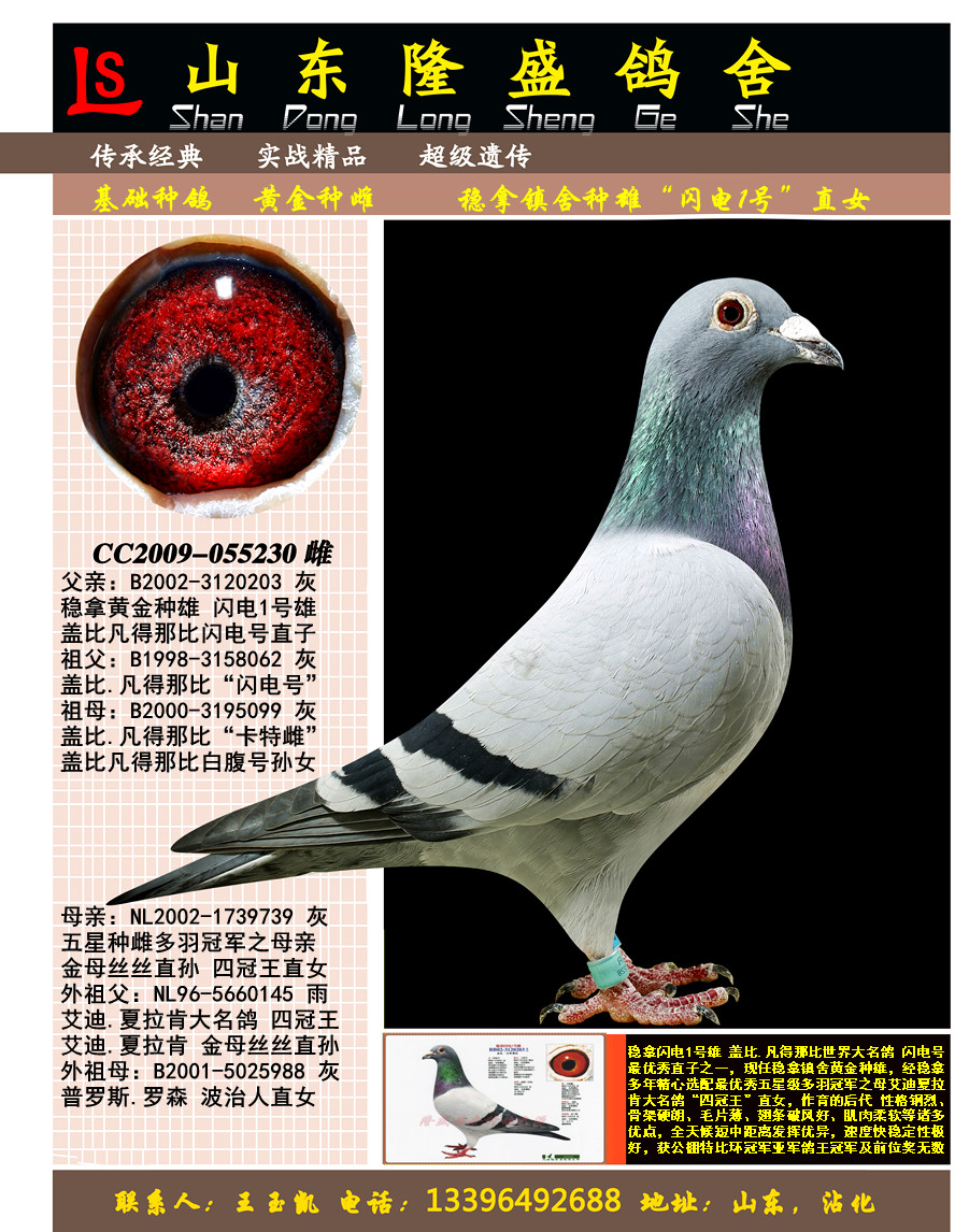 ����1��ֱŮ