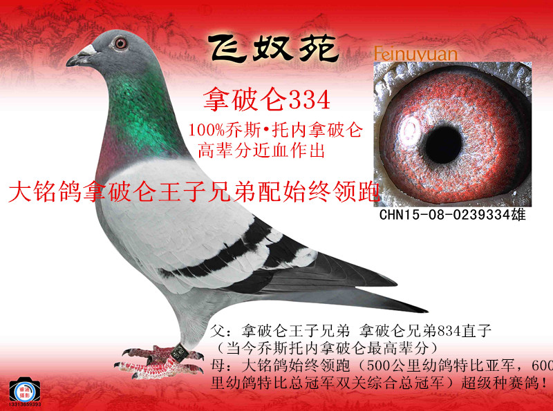 ˹Ѓ(ni)Ɓ334ʼKI(lng)ֱӣ