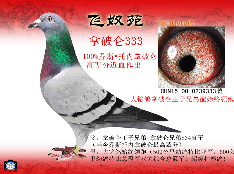 ˹Ѓ(ni)Ɓ333ʼKI(lng)ֱŮ