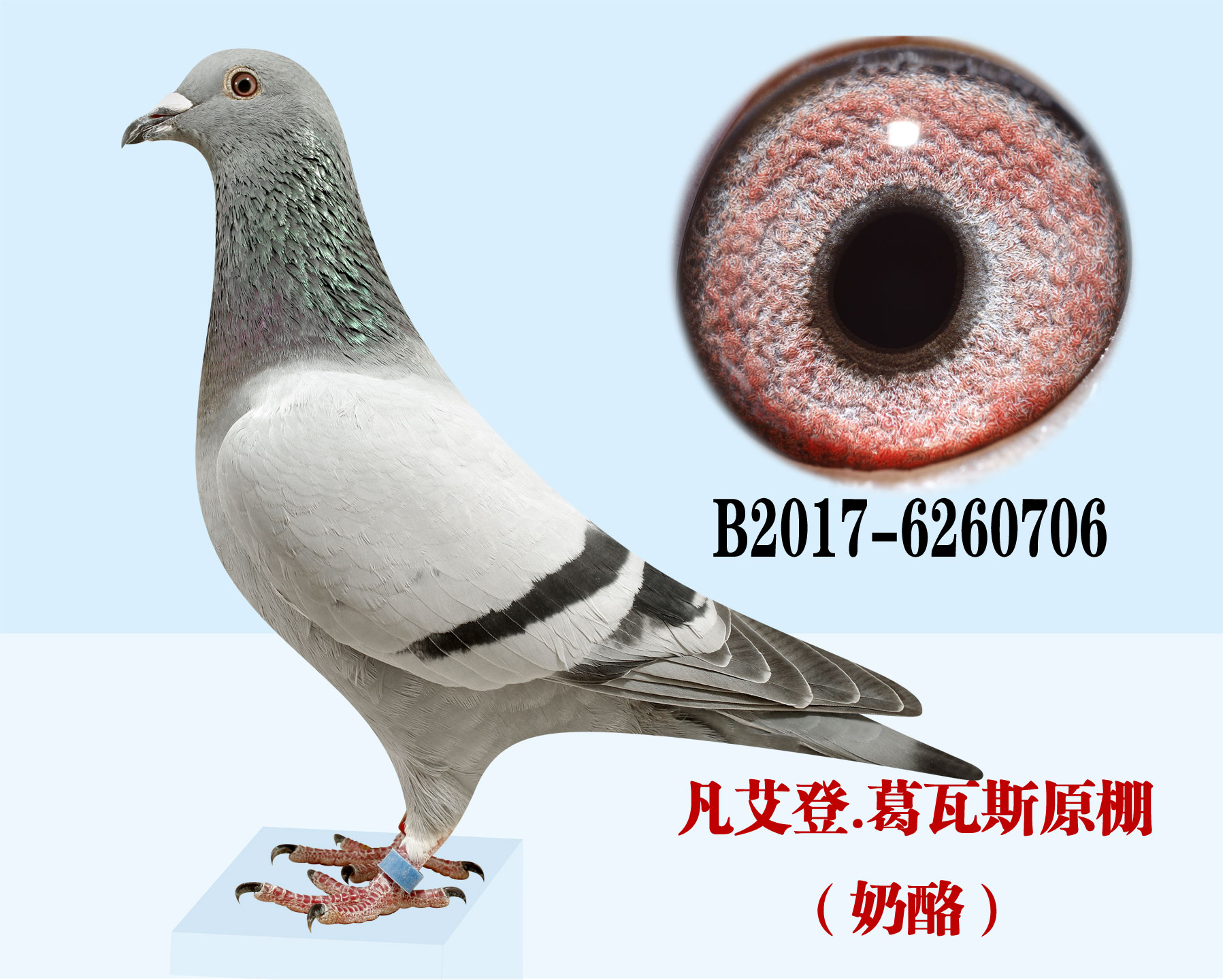 Ʌ54120214ȫ܊