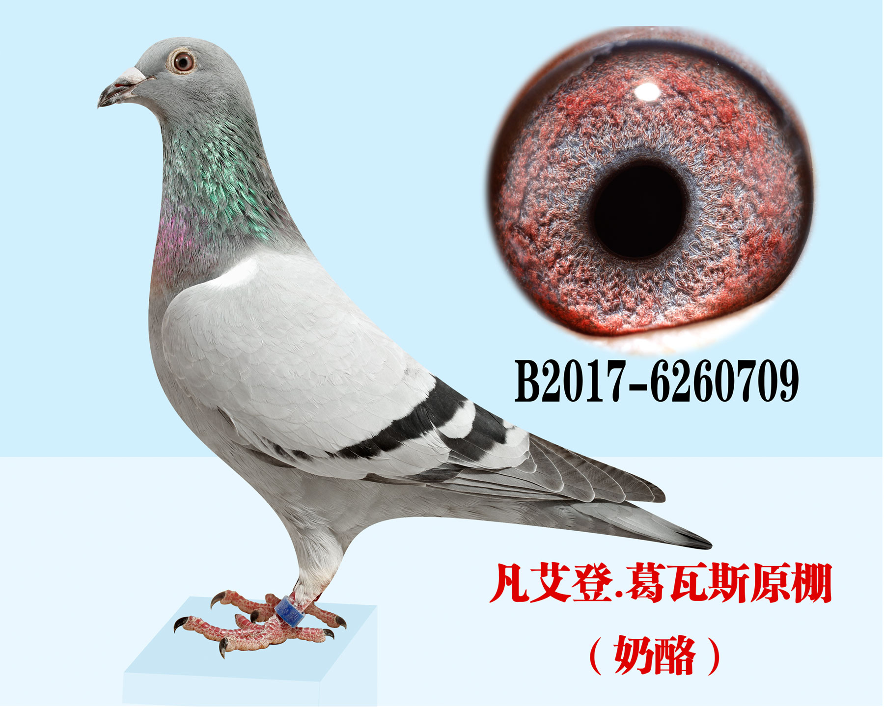 Ʌ54120214ȫ(gu)܊ֵ