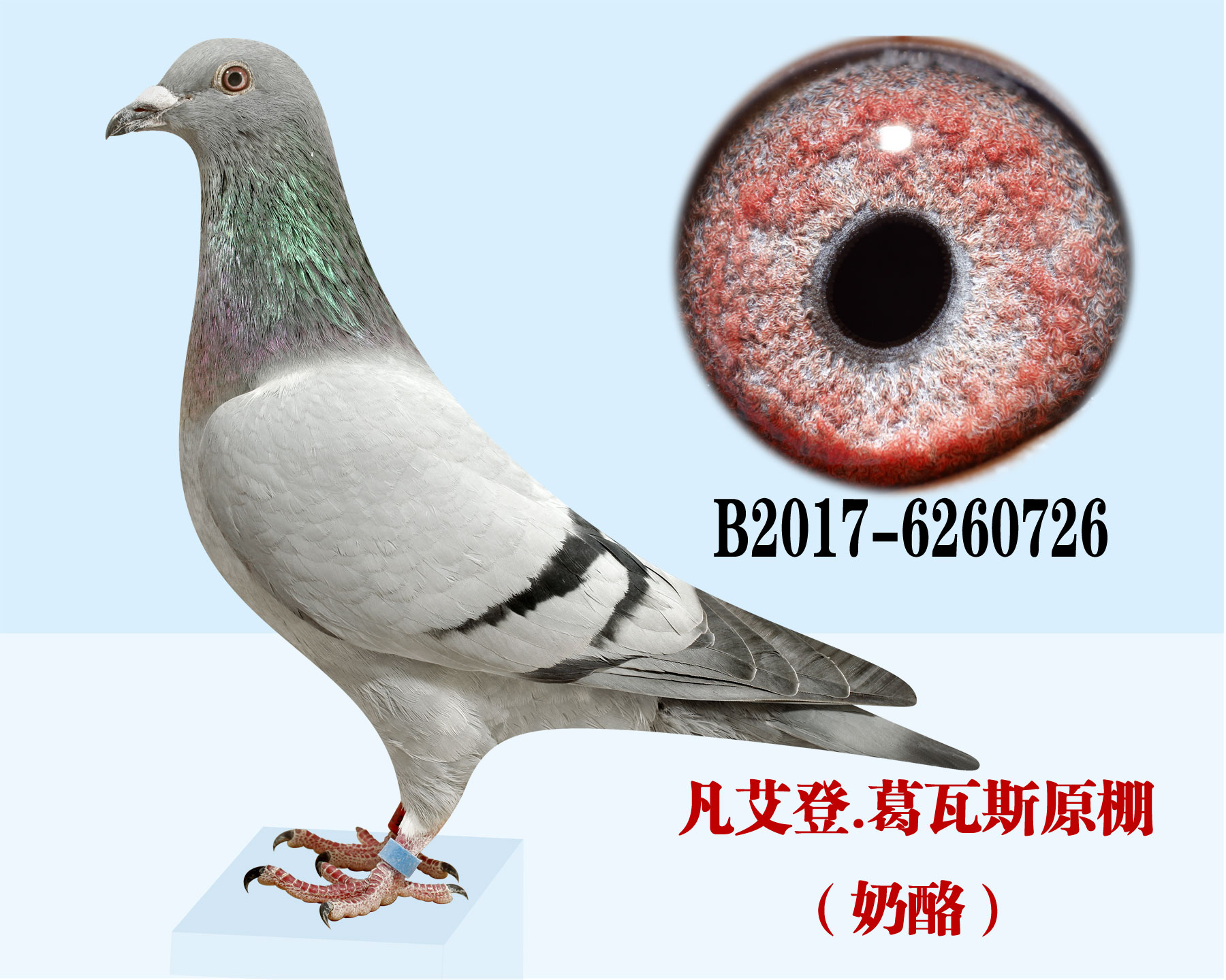 Ʌ54120214ȫ(gu)܊