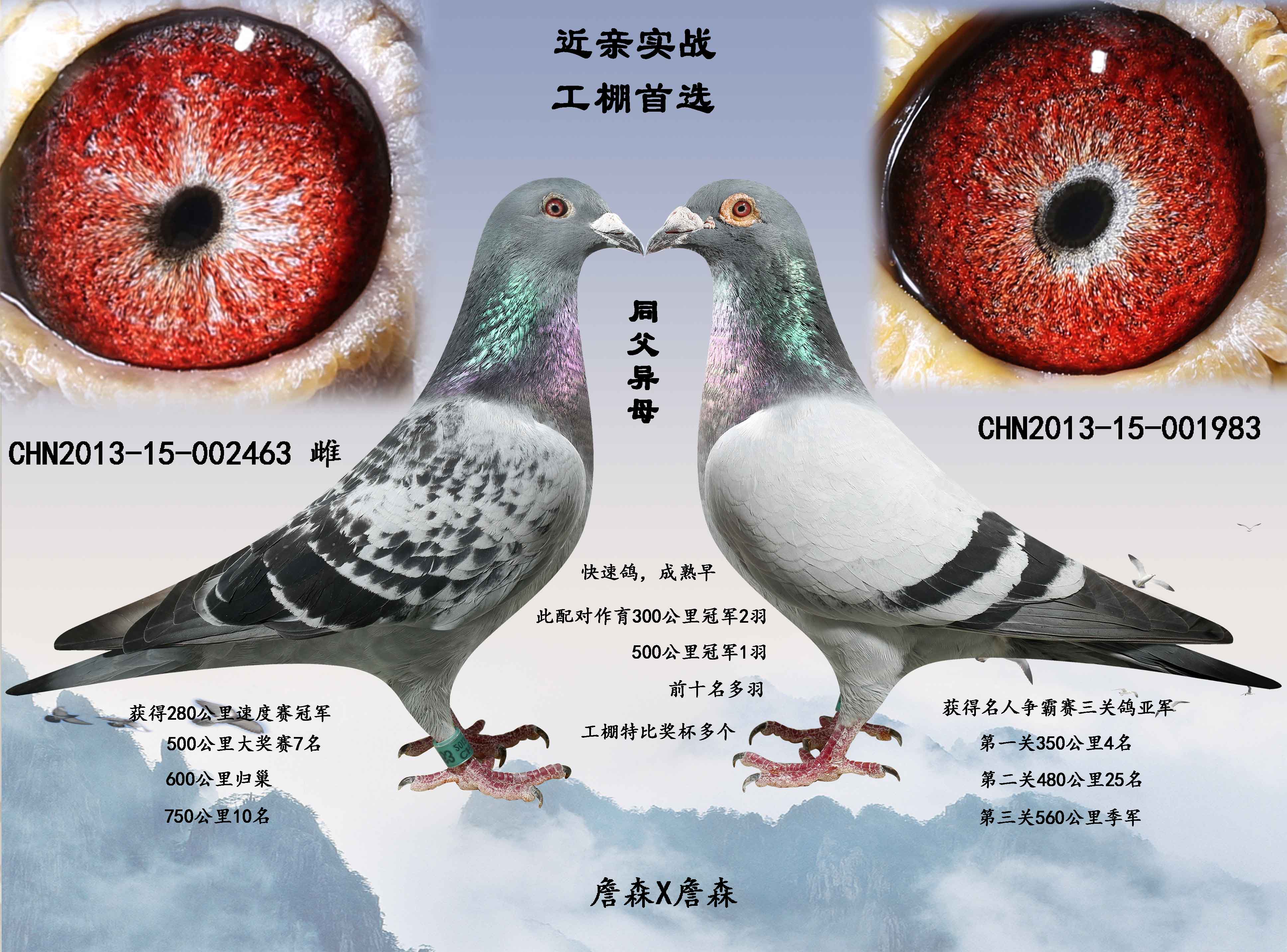 近亲实战