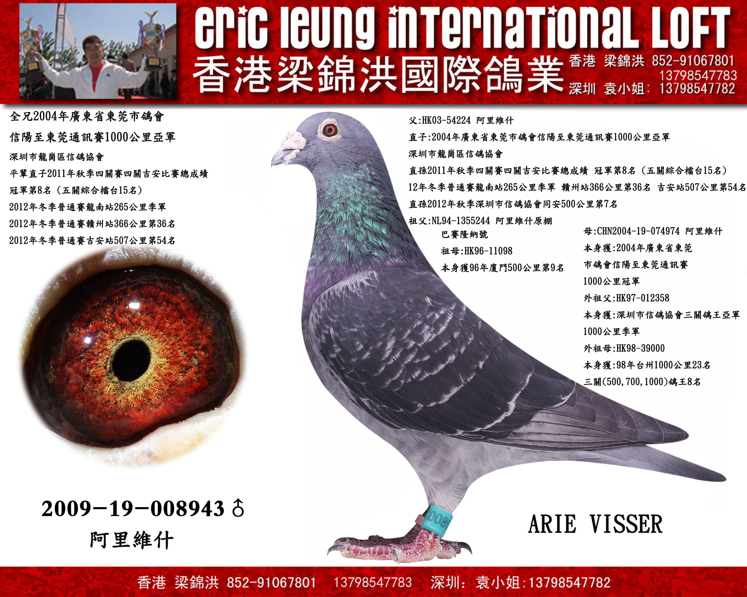 1000公里冠军直子_香港梁锦洪国际鸽业_ag188.com爱鸽