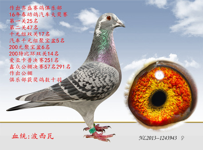 波西瓦原舍