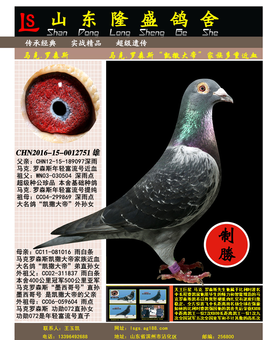 马克.罗森斯_隆盛鸽舍_ ag188.com爱鸽商城_中国信鸽