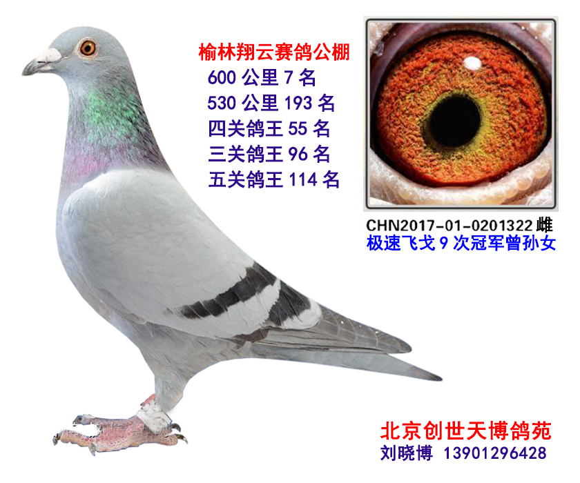 6007