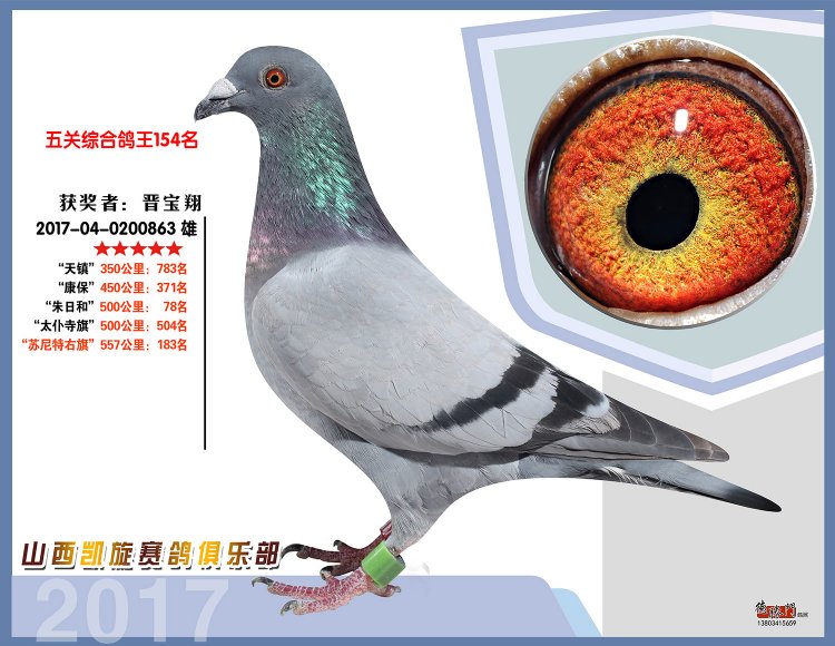 2017年凯旋赛鸽俱乐部五关鸽王154名_晋宝翔_ ag188.