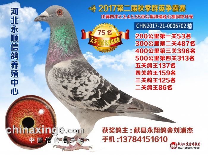 혹75