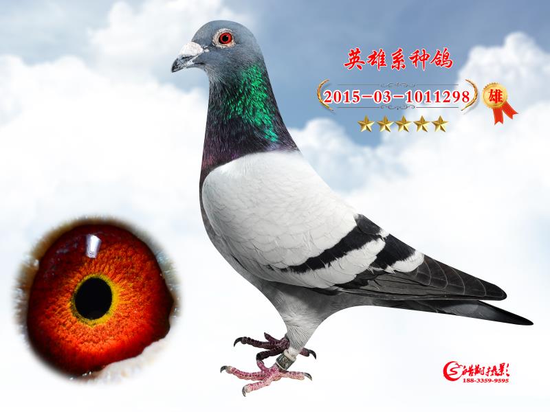Ӣ298