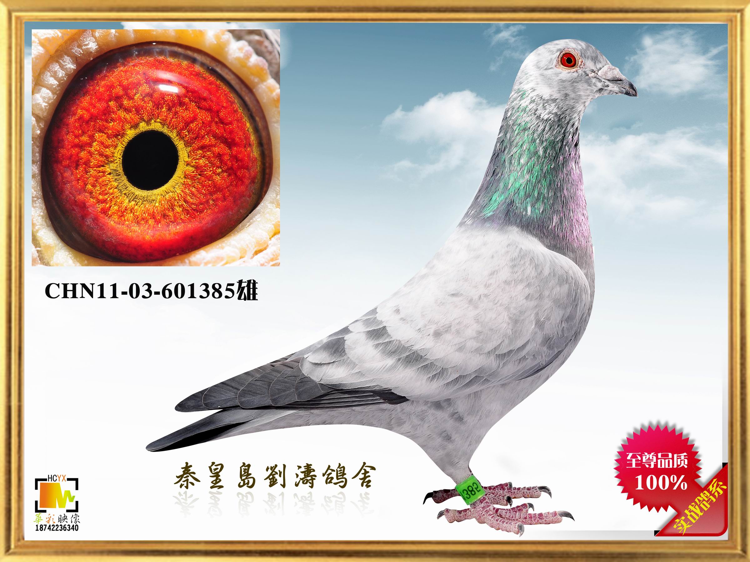 Ӣ385