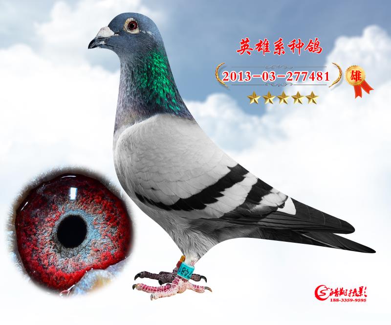 Ӣ481